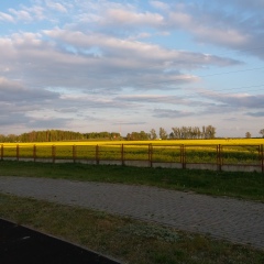 Ирина Балала, 22.11.1988, Минск