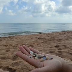 Людмила Шевкова, 19.02, Глазуново