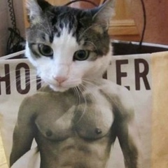 Коля Заречный, 07.04.1995, Одесса