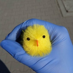 Наталья Сологуб, 14.07.1981, Минск