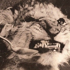 Михаил Коган, 15.07, Москва