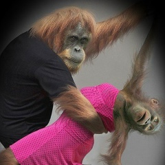 Alex Klak, 30.10.1904, Napoli