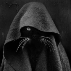 Сергей Сергеев, 03.09, Калининград