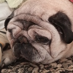 Константин Печенкин, 18.08.1995, Горячий Ключ