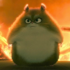 Александр Завьялов, 01.05