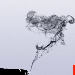 Константин Левочский, Новосибирск