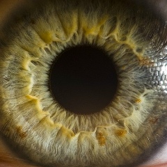 Riyad Amin, 01.01.1986, Alger