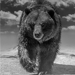 Павел Сметанин, Zaragoza