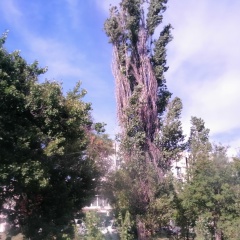 Анна Водопьянова, 08.03.1984, Новосибирск