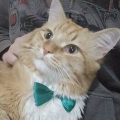 Светлана Шулико, 21.06.1991