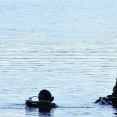 Алена Воронова, Санкт-Петербург