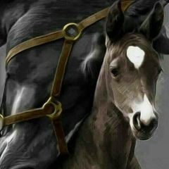 Айгерім Хо-Хо, Астана