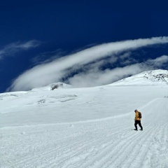 Михаил Гафт, 17.02.2007, Санкт-Петербург