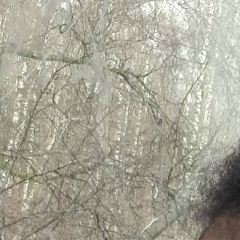 Режина Кутуан, 06.02.1987, Москва