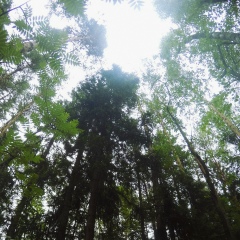 Masha Egorova, 14.11