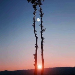 အလင္းေရာင္ သစၥာ, 25.11.1992