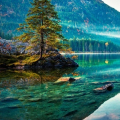 Максим Федоров, 01.05.1981