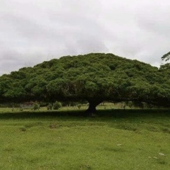 Руслан Мусаев, Тюмень