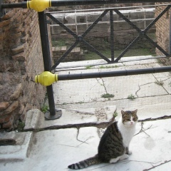 Лариса Морозова, 27.02, Москва