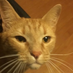 Серёга Конаковский, 04.09.1983, Кончинка