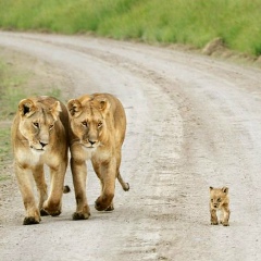 Макс Ин, 04.07