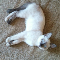 Константин Мальцев, 11.09, Челябинск