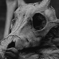 Zetsubou Dimkamaru