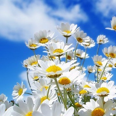 Roma Ky, 04.11, Киев