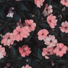 Айкерим Орманова, 08.09