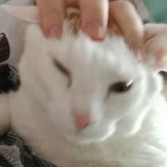 Никита Самарин, 01.01.1970, Тюмень