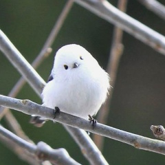 Наталья Ускова, 21.09, Санкт-Петербург