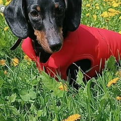 Виталий Гончаренко, 06.04.1980, Актобе