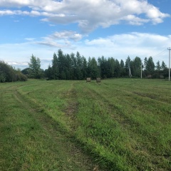Диля Дрогунская, 21.09, Новосибирск