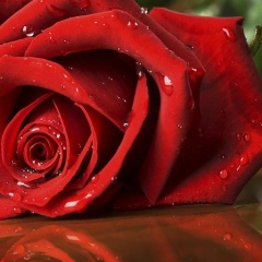 Al-Capone Ekaterinbyrg, 17.01, Екатеринбург