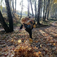 Fedor Aleksandrovich, 17.01.1990, Москва