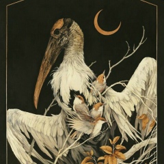 Ильяс Ибрагимов, 03.03.1994, Алматы