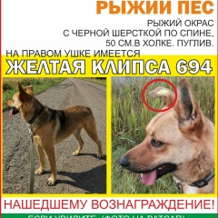 Kleine Maus, 05.08, Омск