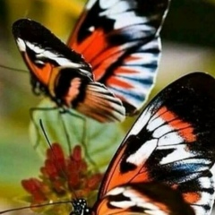 Татьяна Фоминская, 22.01, Барнаул