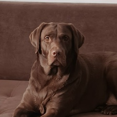 Максим Стрижекозин, 14.01