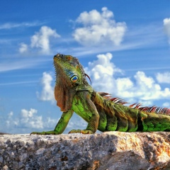 Владимир Глемязный, 01.10.1989, Одесса