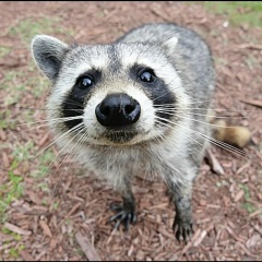 Игорь Политов, 22.06.1979, Москва