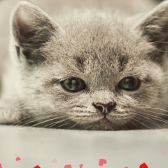 Ирина Ирочкина, 04.10, Курган