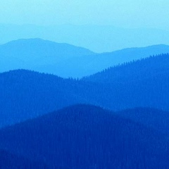 Наиль Сулейманов, Казань