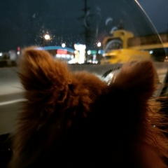 Антон Мущинский, 29.08.1989, Москва