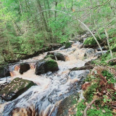 Samer Afandy, 01.05.1987, Jönköping