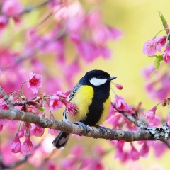 Татьяна Бондарь, 13.02, Киев