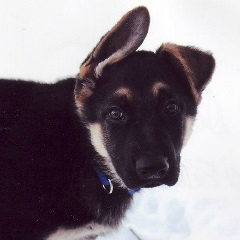 Алексей Поломарчук, 01.04.1980