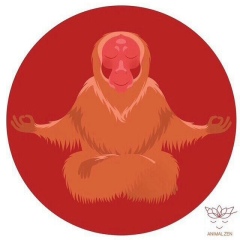 Артур Ким, 11.06.1992, Владивосток