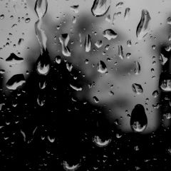 Mustafa Mustafayev, 11.02, Баку