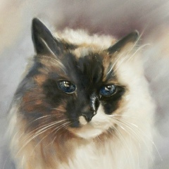 Николай Кшижевский, 05.09.1981, Praha